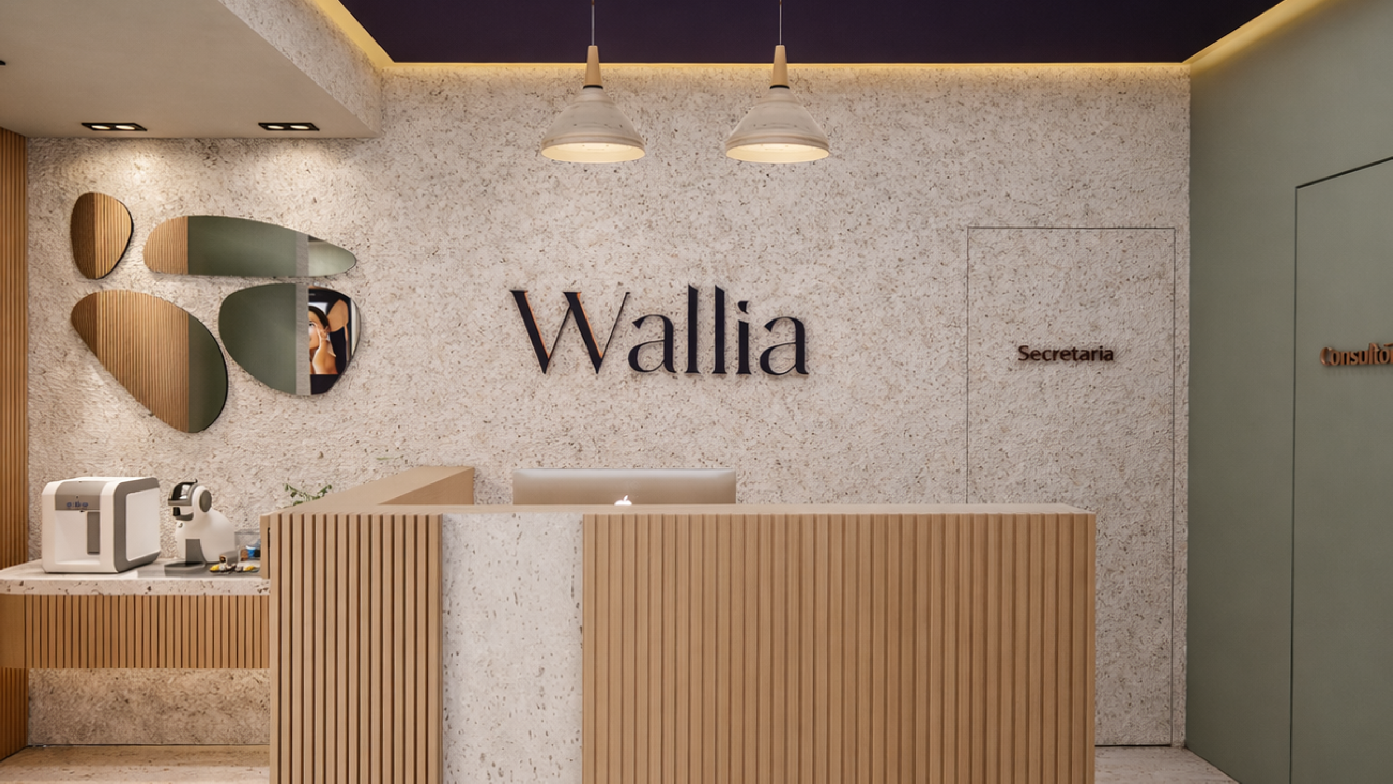 Projeto Wallia